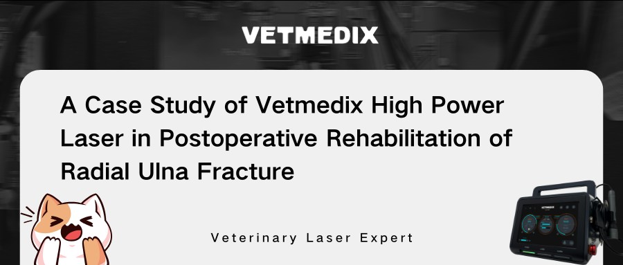 Vetmedix အမှုခွဲဝေမှု radial ulna fracture ၏ postoperative ပြန်လည်ထူထောင်ရေးအတွက်မြင့်မားသော power paser ကုထုံး